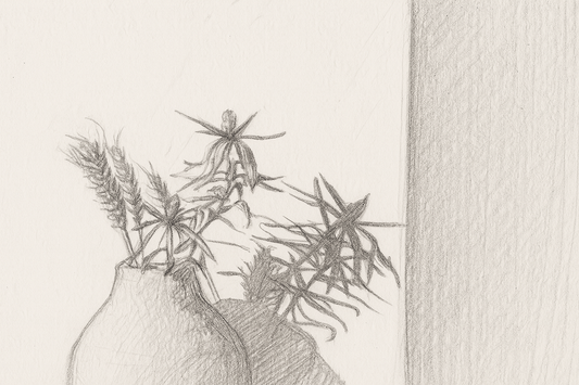 sketch of potted plant on counter with blank background