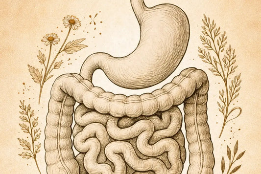 The Skin–Gut Axis: A Love Story
