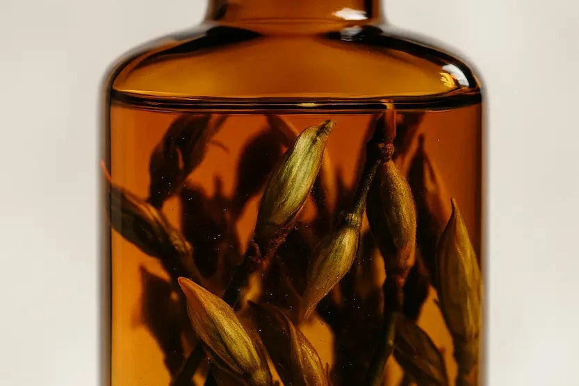 Close-up of hand-infused oil with visible Balm of Gilead suspended in golden amber liquid inside a small amber glass bottle, evoking purity and natural skincare craftsmanship.