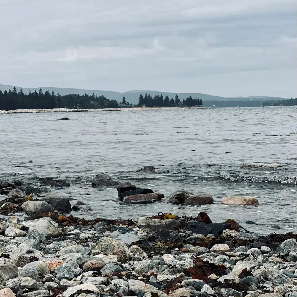 A rocky shoreline with small gray and brown stones in the foreground, calm water in the middle, and a distant tree line under an overcast sky.