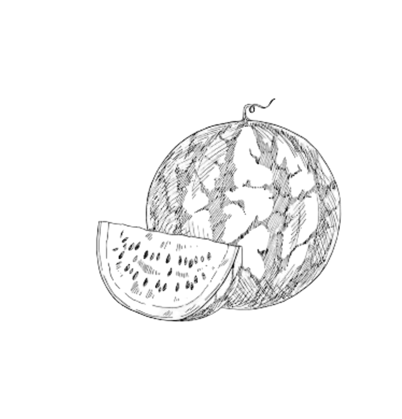 Black and white illustration of a watermelon with a slice cut out